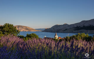 baška-luka-tabako-photography (9)