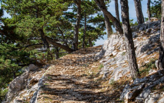 šetnice-baška-luka-tabako-photography (7)